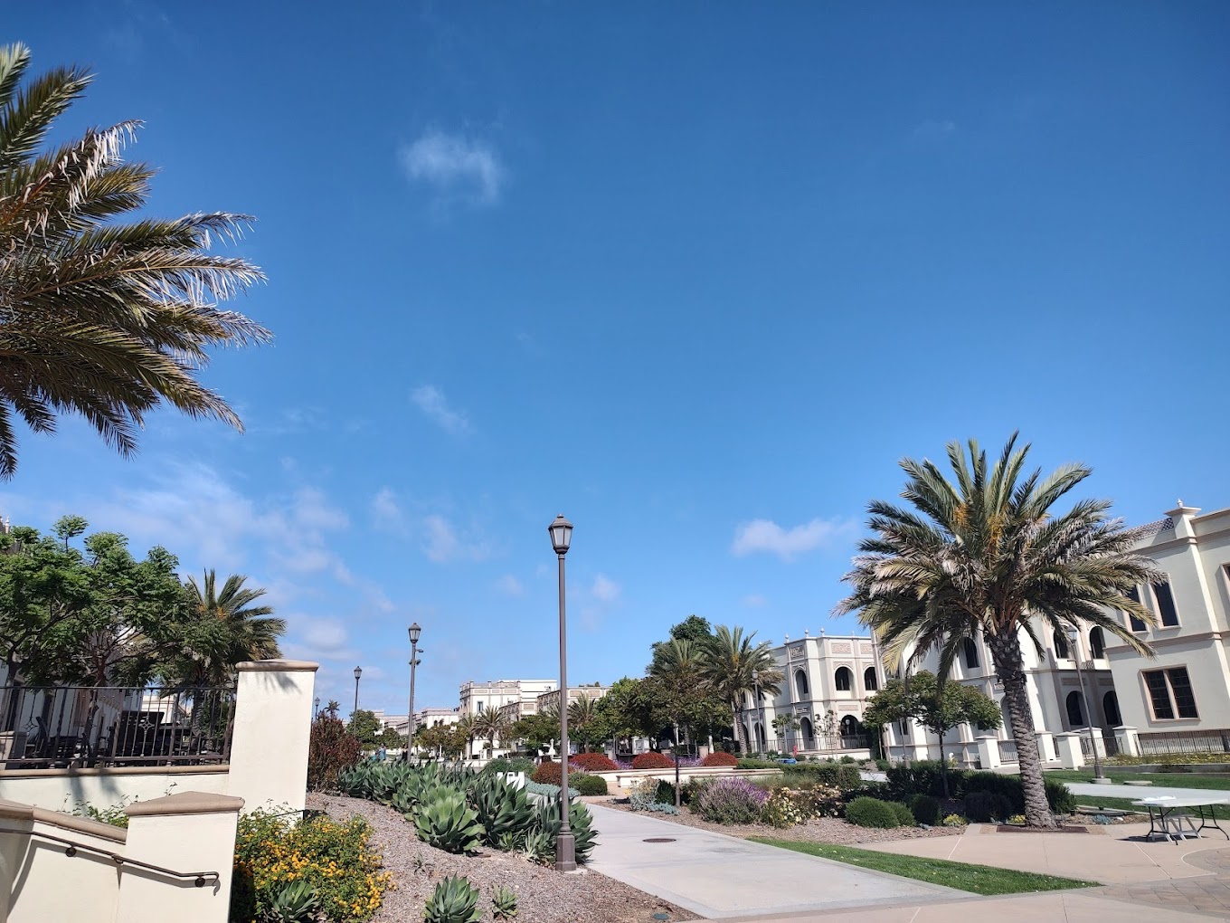university-of-san-diego-1