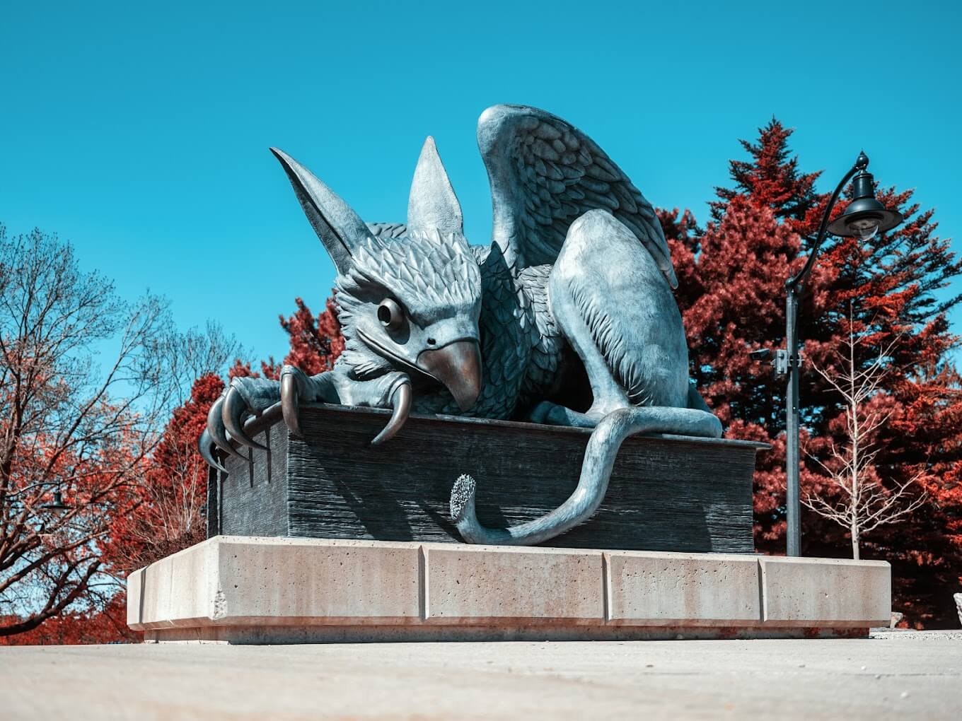 university-of-guelph-2
