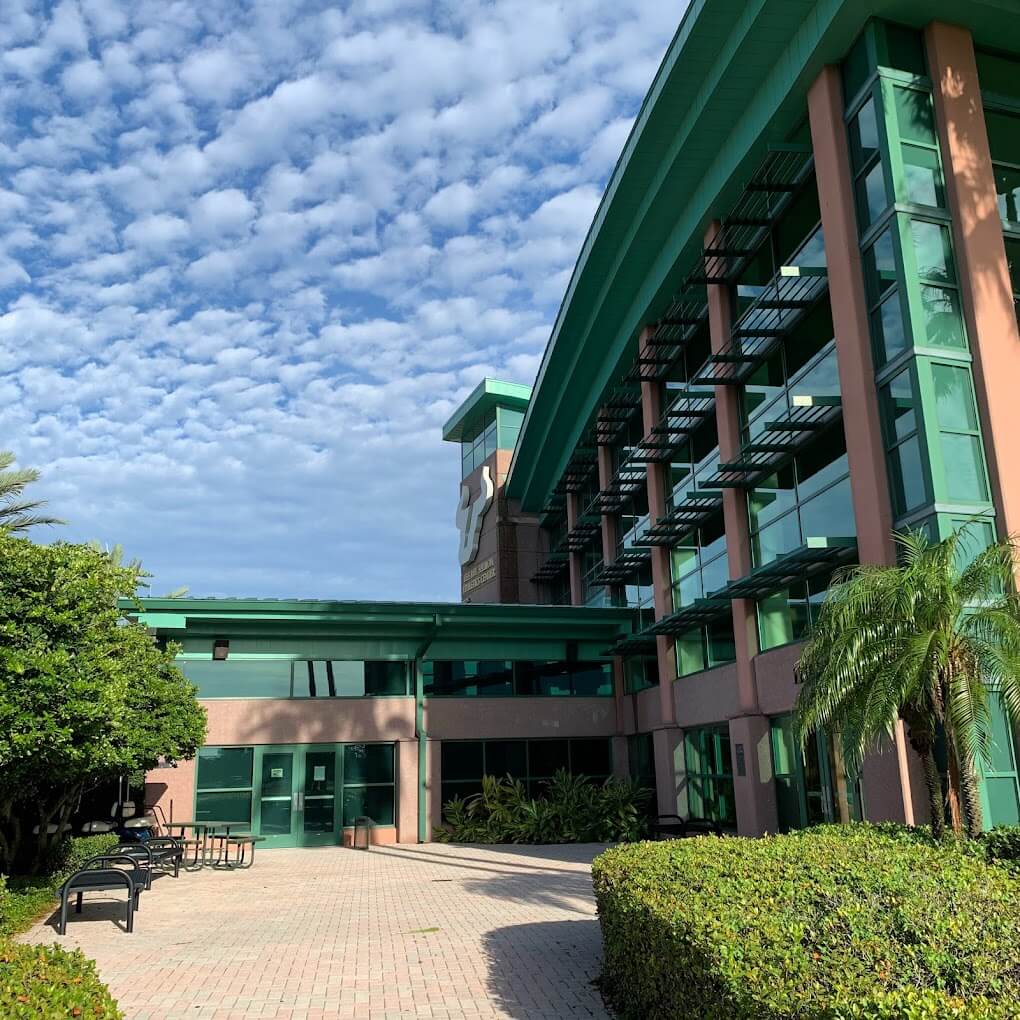 university-of-south-florida