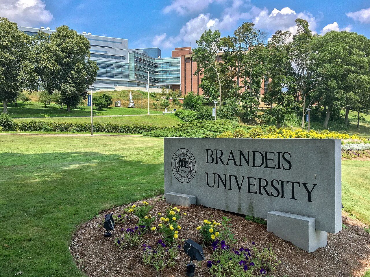 brandeis-university-1