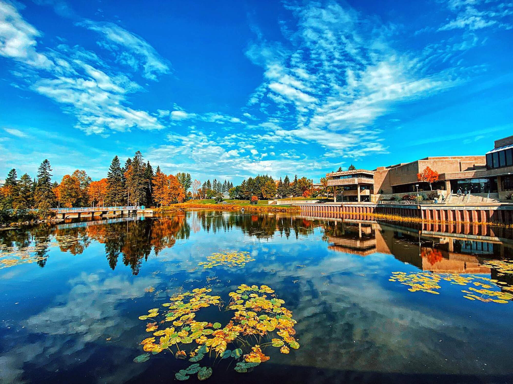 lakehead-university-2